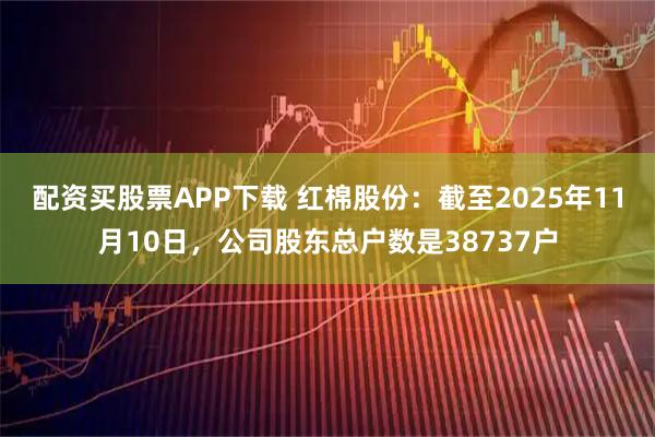 配资买股票APP下载 红棉股份：截至2025年11月10日，公司股东总户数是38737户